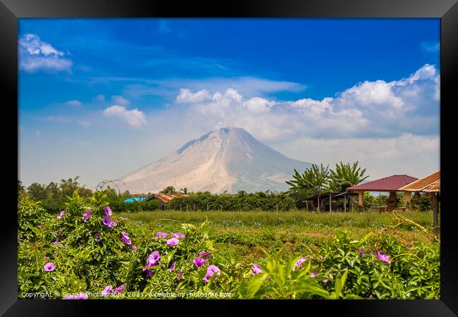 A view of Mount Sinabung over agricultural land in North Sumatra, Indonesia Framed Print by SnapT Photography