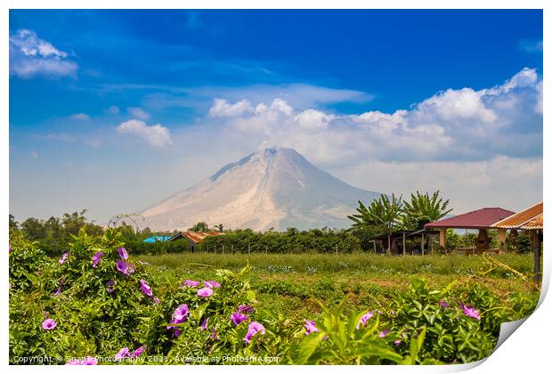 A view of Mount Sinabung over agricultural land in North Sumatra, Indonesia Print by SnapT Photography