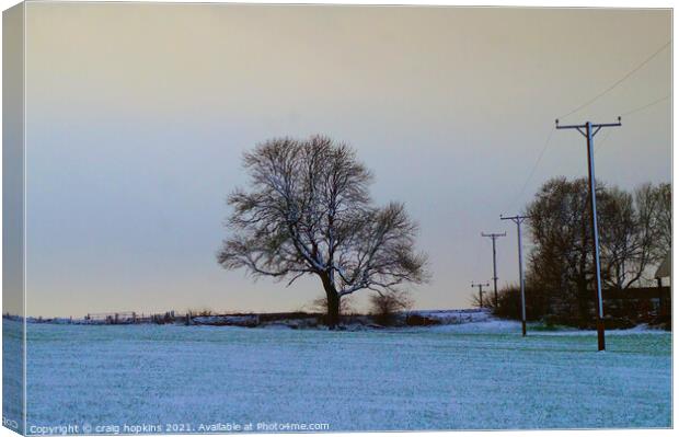 Snowy field and tree Canvas Print by craig hopkins