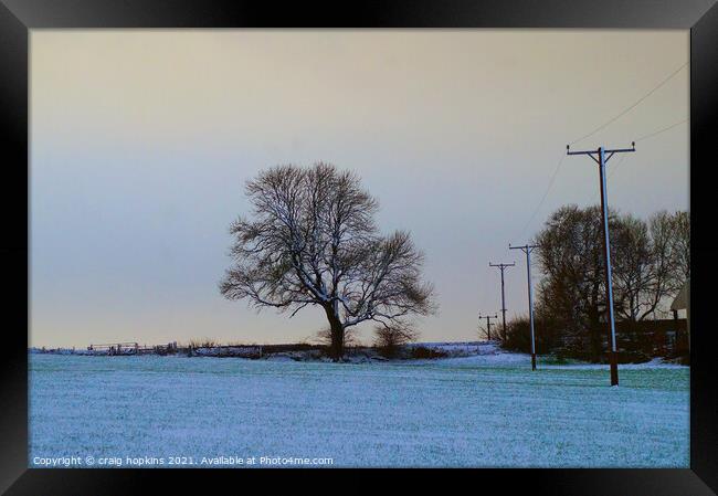 Snowy field and tree Framed Print by craig hopkins