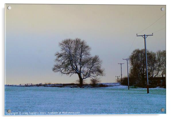 Snowy field and tree Acrylic by craig hopkins