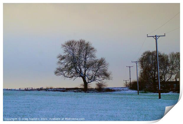 Snowy field and tree Print by craig hopkins