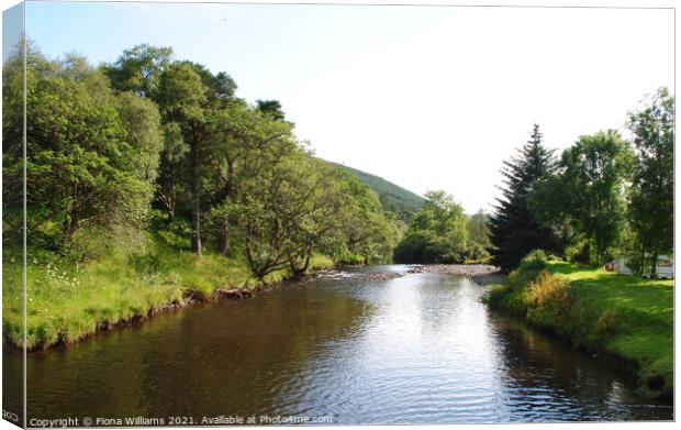 Down the Water at Ettrick valley Canvas Print by Fiona Williams