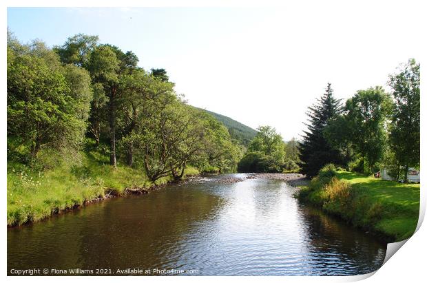 Down the Water at Ettrick valley Print by Fiona Williams