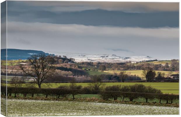 A Thaw Sets In  Canvas Print by Richard Laidler