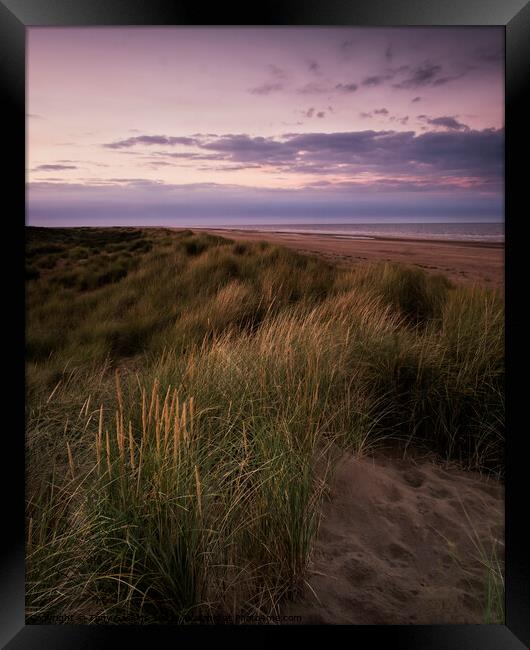 Light on the Dunes Framed Print by Tony Gaskins
