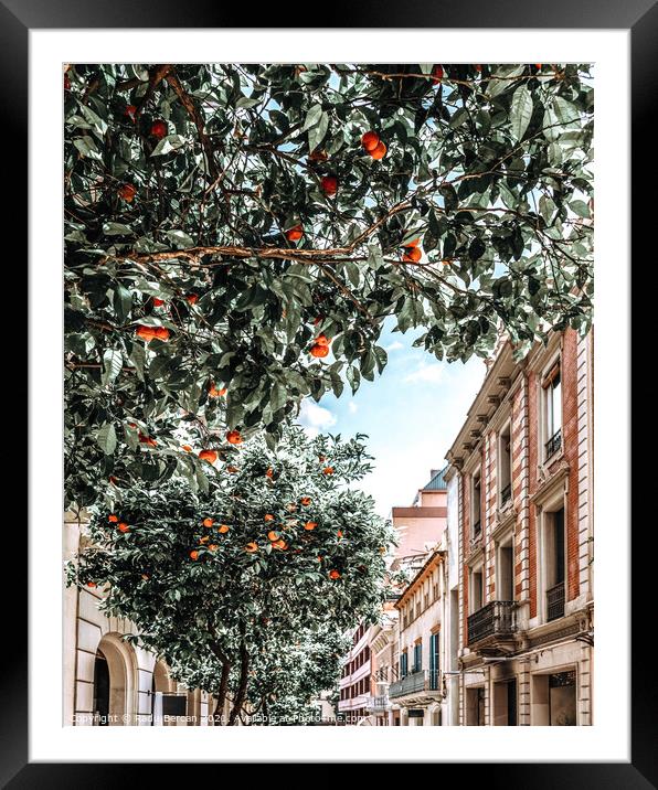 Orange Trees In Barcelona City, Spain Framed Mounted Print by Radu Bercan