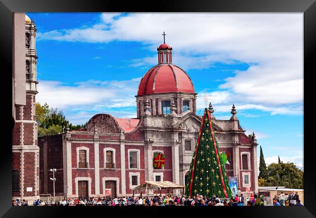 Old Basilica Shrine of Guadalupe Christmas Day Tree Mexico City  Framed Print by William Perry