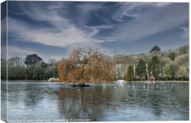 weeping willow  cornwall boating lake,Early mornin Canvas Print by kathy white