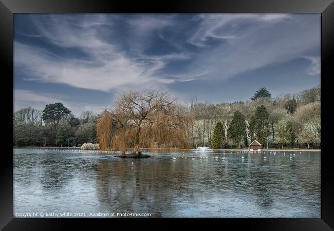 weeping willow  cornwall boating lake,Early mornin Framed Print by kathy white
