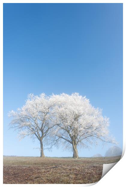 Dunstable Downs in Winter Print by Graham Custance