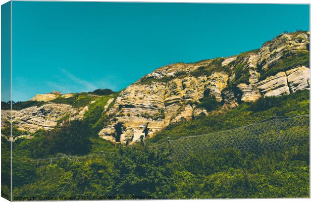 Stonerock Cliff Canvas Print by Grace Wallace