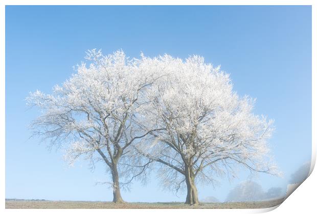 Dunstable Downs in Winter Print by Graham Custance