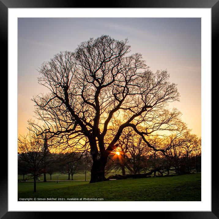Ancient Oak at Sunset Framed Mounted Print by Simon Belcher
