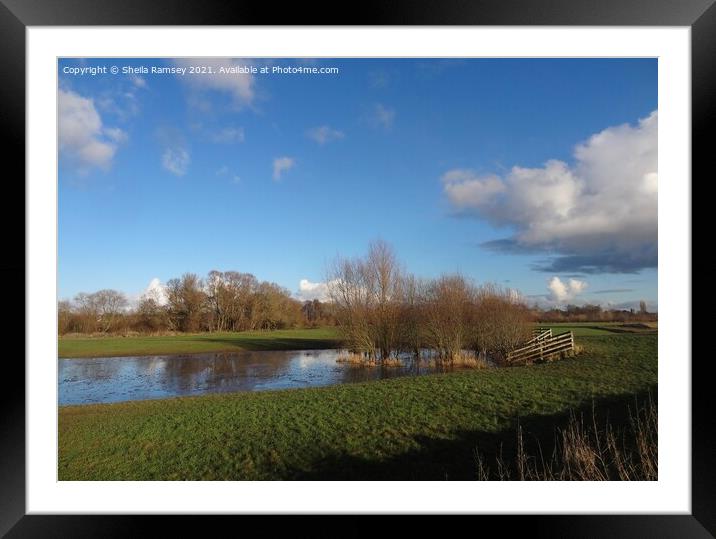 The water meadow Taunton Framed Mounted Print by Sheila Ramsey
