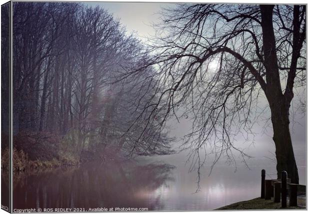 "Mists at Garden River" Canvas Print by ROS RIDLEY