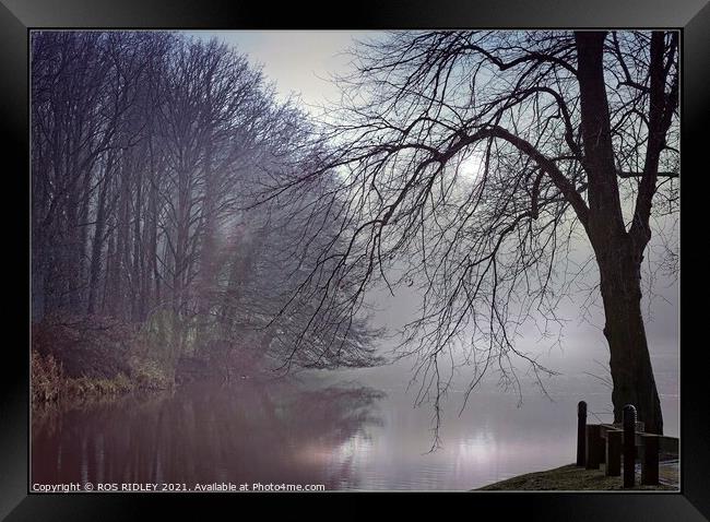 "Mists at Garden River" Framed Print by ROS RIDLEY