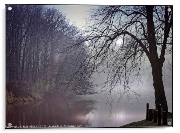 "Mists at Garden River" Acrylic by ROS RIDLEY