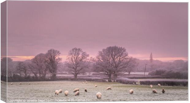 Cold and frosty with sheep Canvas Print by Jeremy Sage