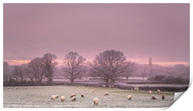 Cold and frosty with sheep Print by Jeremy Sage
