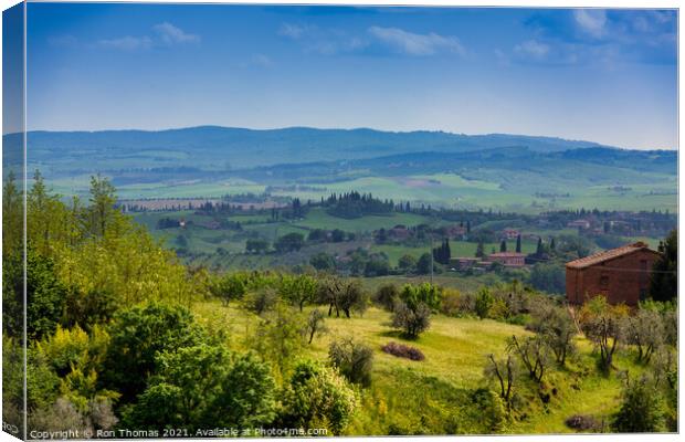 A Scene in Tuscany Canvas Print by Ron Thomas