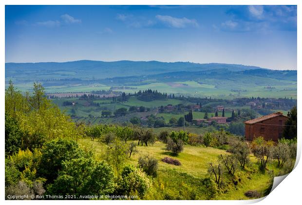 A Scene in Tuscany Print by Ron Thomas