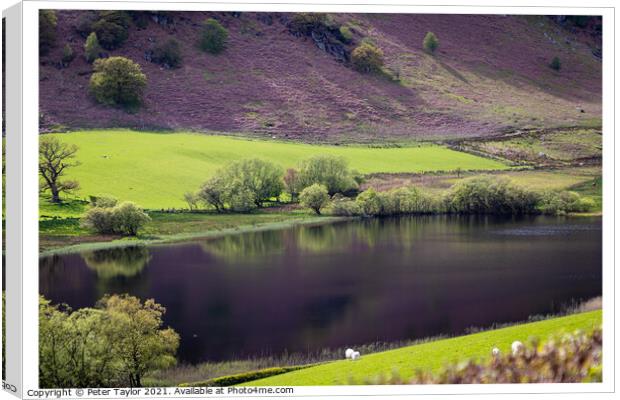 Reflections on Gwynllyn in the Elan Valley Canvas Print by Peter Taylor
