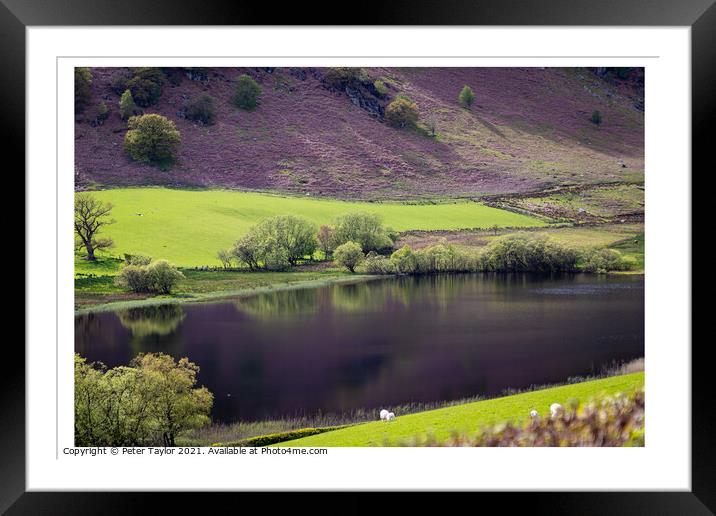 Reflections on Gwynllyn in the Elan Valley Framed Mounted Print by Peter Taylor