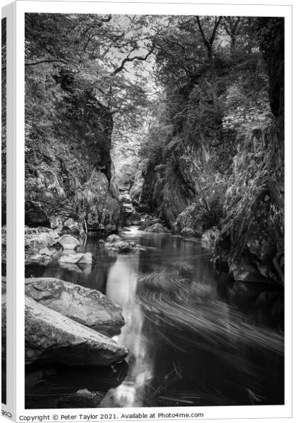 Tranquillity in Fairy Glen Canvas Print by Peter Taylor