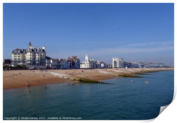 Eastbourne beachfront and hotels Print by Sheila Eames
