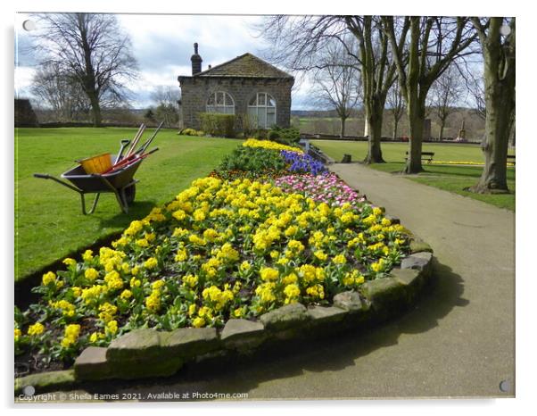 Flower Bed at Knaresborough Castle Gardens Acrylic by Sheila Eames