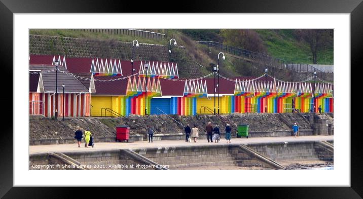Scarborough Beach Huts Framed Mounted Print by Sheila Eames