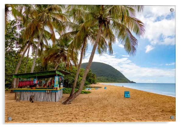 Grande Anse Beach Acrylic by Roger Green