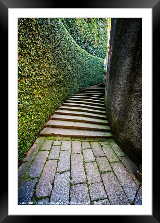 Secluded Path and Steps Framed Mounted Print by Ron Thomas