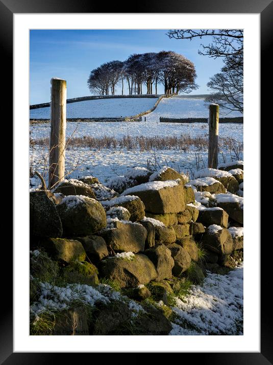 Winter on the Chevin, Otley West Yorkshire. Framed Mounted Print by Chris North