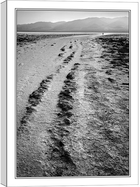 The long walk Canvas Print by Steve White