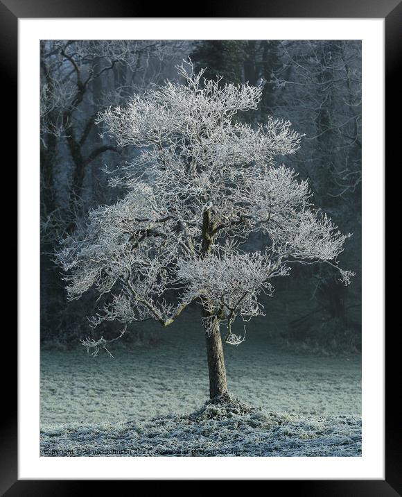 Hoar frost Broadway Woods Cotswolds Gloucestershire  Framed Mounted Print by Simon Johnson
