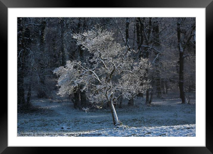 Sunlit hoar frost Framed Mounted Print by Simon Johnson