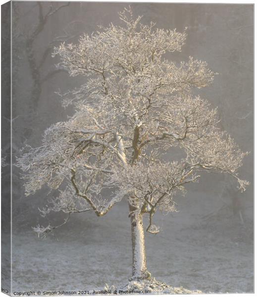 Ghost tree Canvas Print by Simon Johnson