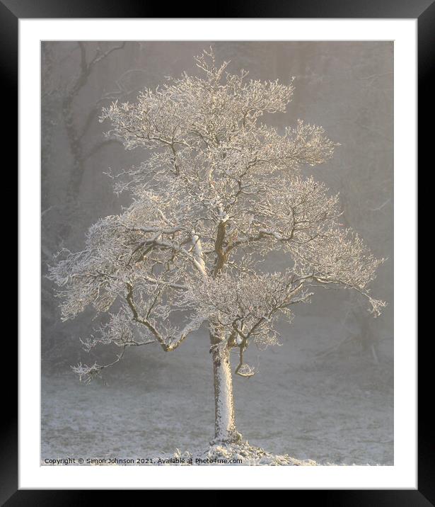 Ghost tree Framed Mounted Print by Simon Johnson