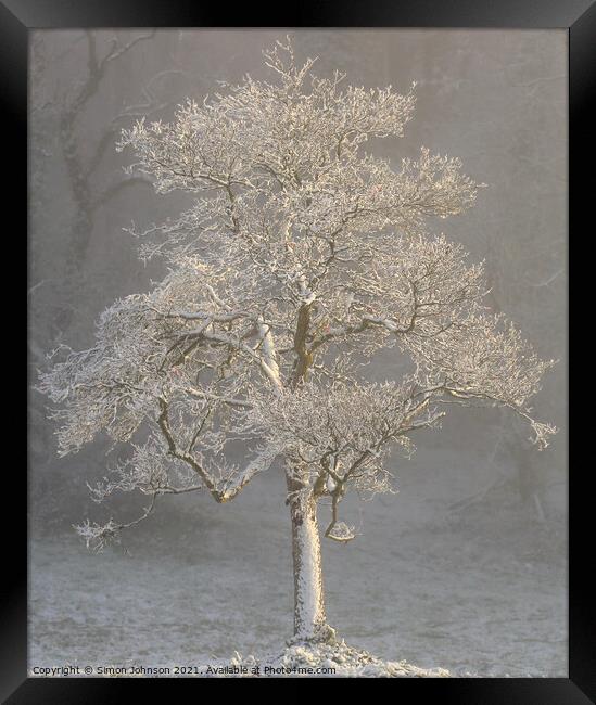 Ghost tree Framed Print by Simon Johnson