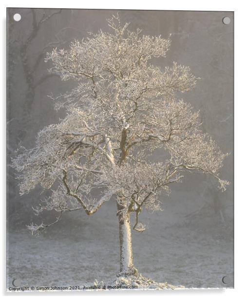 Ghost tree Acrylic by Simon Johnson