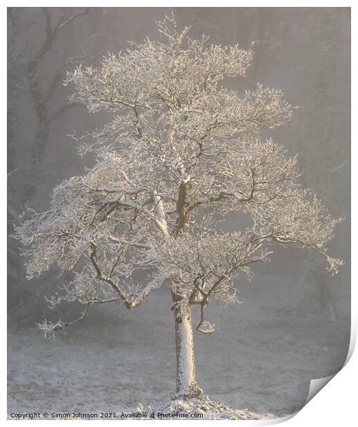 Ghost tree Print by Simon Johnson