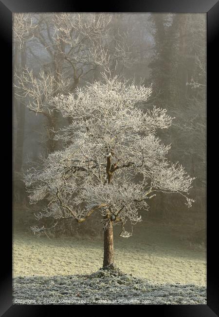 Hoar frost Broadway Woods  Framed Print by Simon Johnson