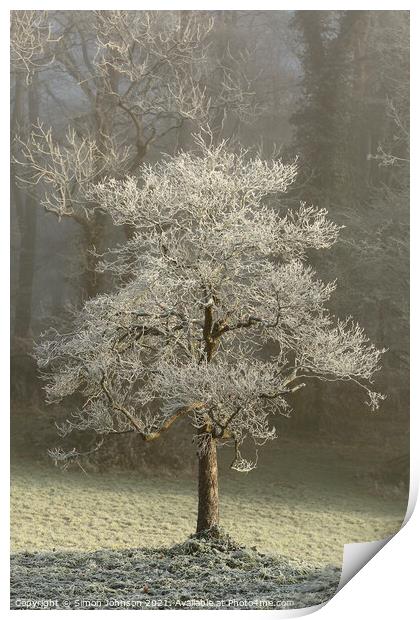 Hoar frost Broadway Woods  Print by Simon Johnson