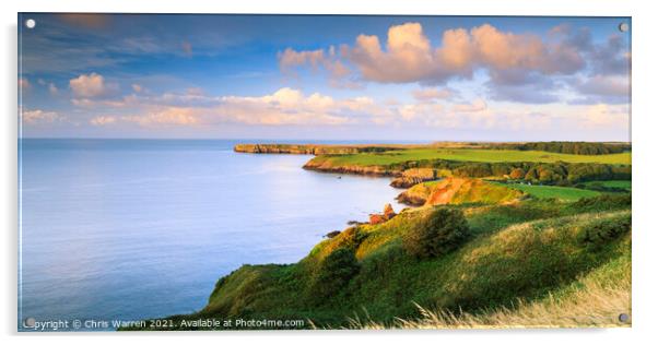 Stackpole Head Barafundle Bay Pembrokeshire  Acrylic by Chris Warren