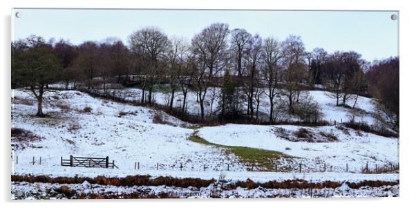 Winter Panorama Acrylic by David McCulloch