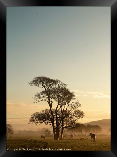 Early morning. Framed Print by Glyn Evans