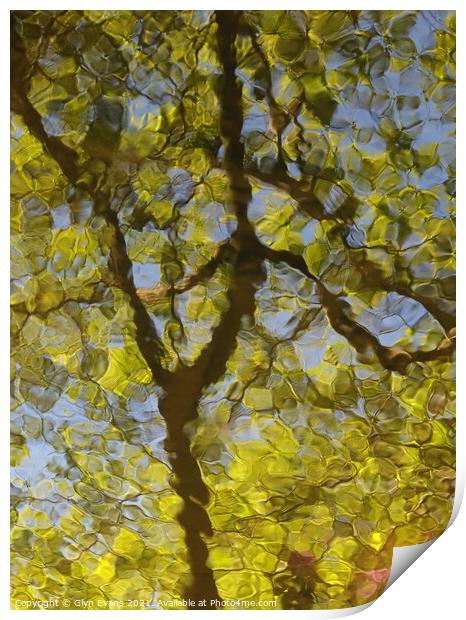 Reflections. Print by Glyn Evans