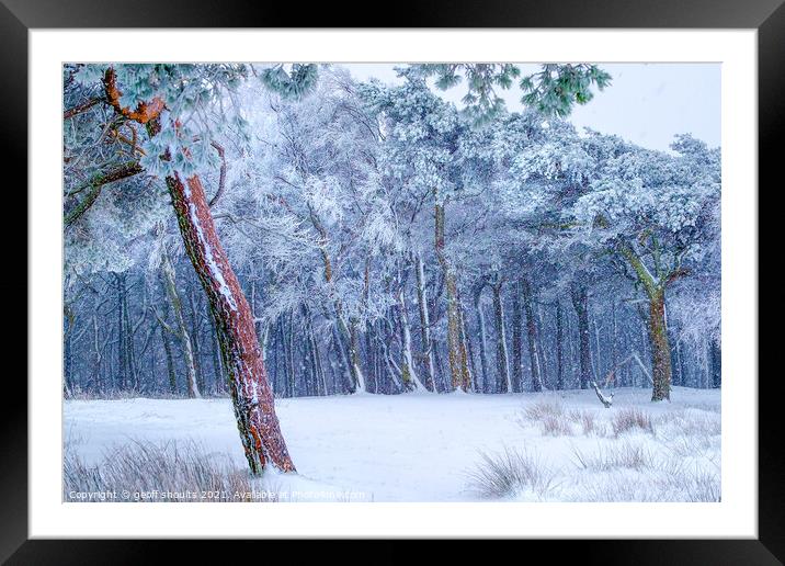Winter in the woods Framed Mounted Print by geoff shoults
